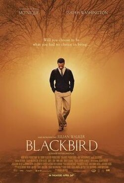 Blackbird poster