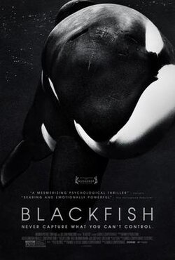 Blackfish poster