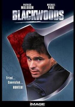 Blackwoods poster