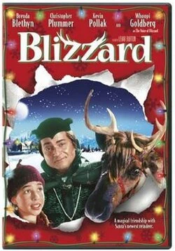 Blizzard poster