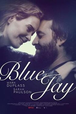 Blue Jay poster
