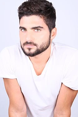 Bonjour Monsieur Shlomi poster
