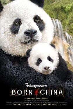 Born in China poster