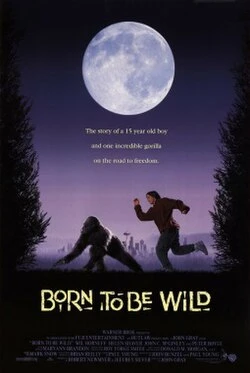 Born to Be Wild poster