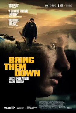 Bring Them Down poster