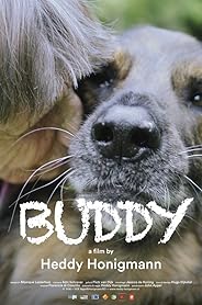 Buddy poster