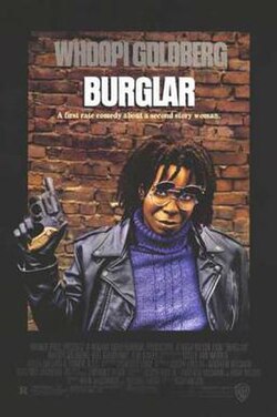 Burglar poster