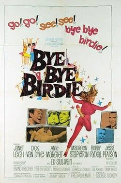 Bye Bye Love poster