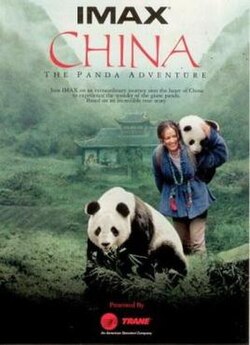 China: The Panda Adventure poster
