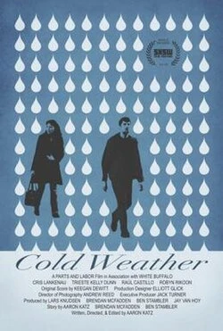 Cold Weather poster