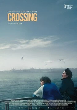 Crossing the Line poster