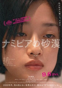 Desert of Namibia poster