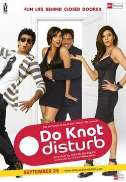 Do Knot Disturb poster