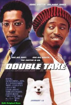 Double Take poster