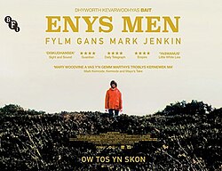 Enys Men poster