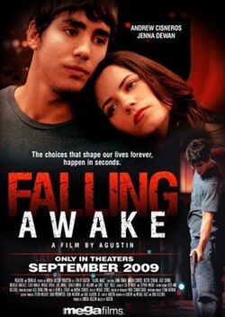 Falling Awake poster