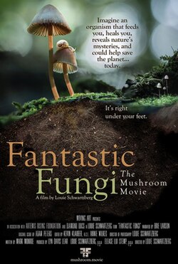 Fantastic Fungi poster