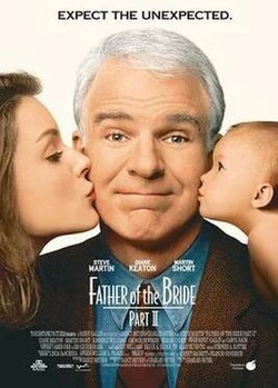 Father of the Bride Part II poster