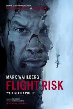 Flight Risk poster