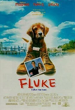 Fluke poster