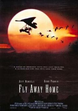 Fly Away Home poster