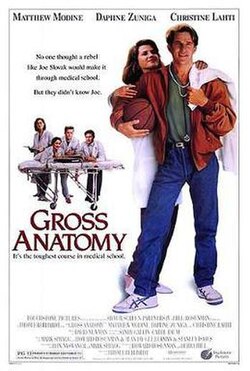 Gross Anatomy poster