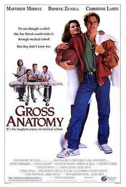 Gross Anatomy poster