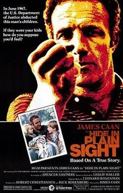 Hide in Plain Sight poster