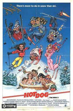 Hot Dog... The Movie poster