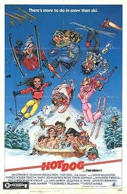 Hot Dog... The Movie poster