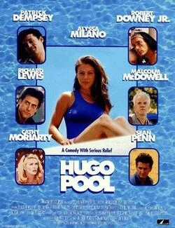 Hugo Pool poster