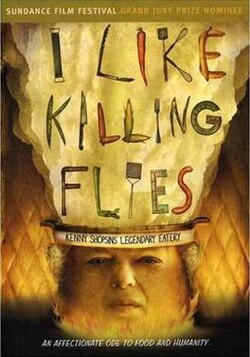 I Like Killing Flies poster