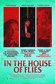 In the House of Flies poster