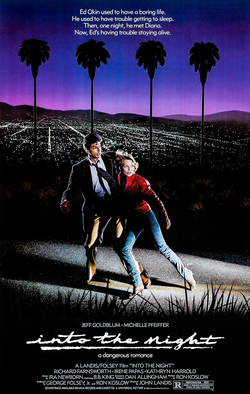 Into the Night poster