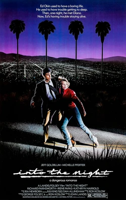 Into the Night poster