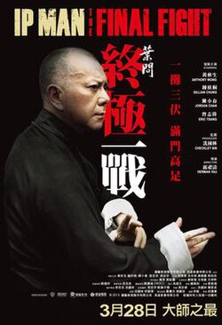 Ip Man: The Final Fight poster
