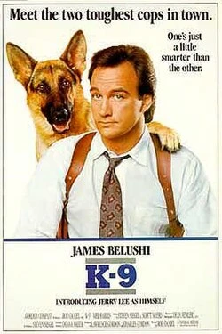 K-9 poster