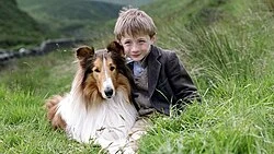 Lassie poster