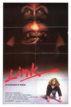 Link poster
