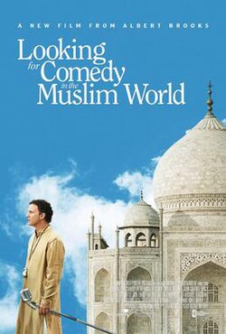 Looking for Comedy in the Muslim World poster