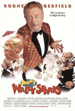 Meet Wally Sparks poster