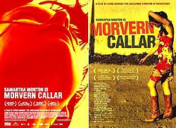 Morvern Callar poster