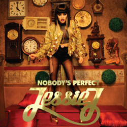 NoBody's Perfect poster
