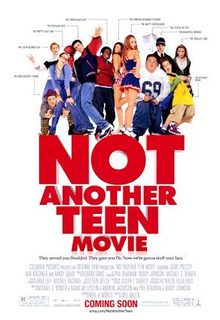 Not Another Teen Movie poster