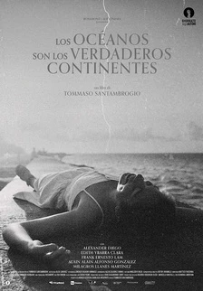 Oceans Are the Real Continents poster