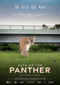 Path of the Panther poster