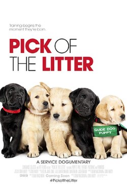Pick of the Litter poster
