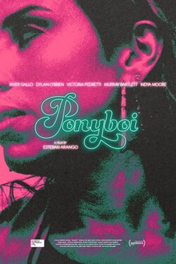 Ponyboi poster