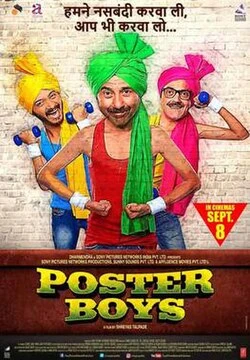Poster Boys poster