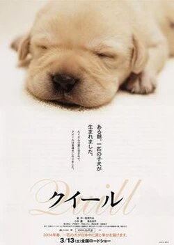 Quill: The Life of a Guide Dog poster